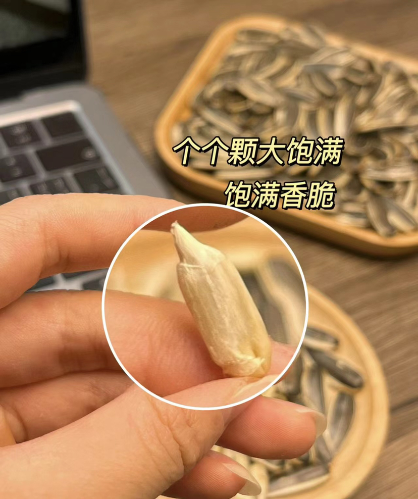 新疆塔城瓜子 单包500g 巨香巨好