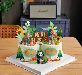 森林动物园D款（双胞龙凤胎）