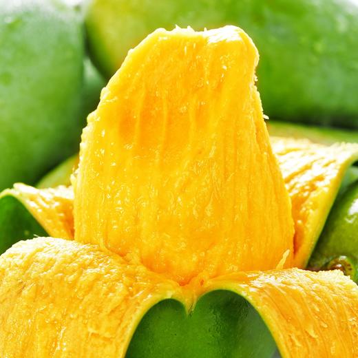 广西百色桂七芒果 礼盒装 商品图1