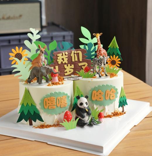 森林动物园D款（双胞龙凤胎） 商品图1