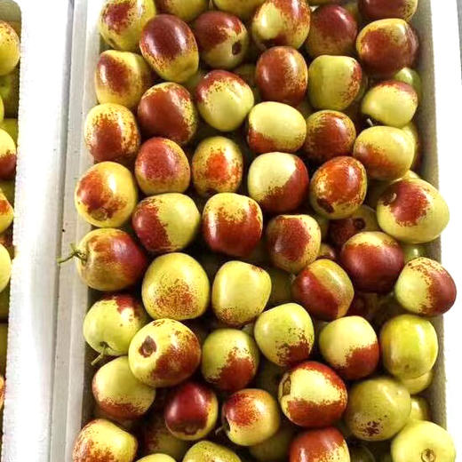 陕西大荔冬枣 大果3斤装 脆甜鲜枣 普箱装 商品图7