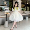 女童夏装连衣裙2023新款网红儿童泡泡袖裙子夏季学院风女孩公主裙 商品缩略图2