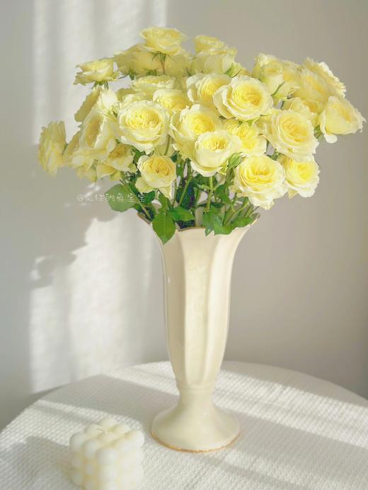 【AB级暖暖多头玫瑰】10支/份 长约60-65cm 商品图1