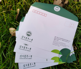 明信片平邮套餐