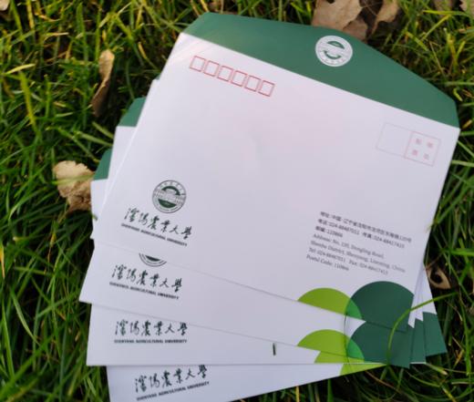 明信片平邮套餐 商品图0