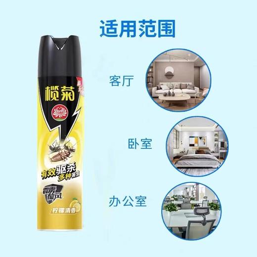榄菊杀虫剂金霸旋风速杀型家用室内蚊虫苍蝇蚂蚁灭蚊蟑螂药杀虫水500ml一瓶 商品图2