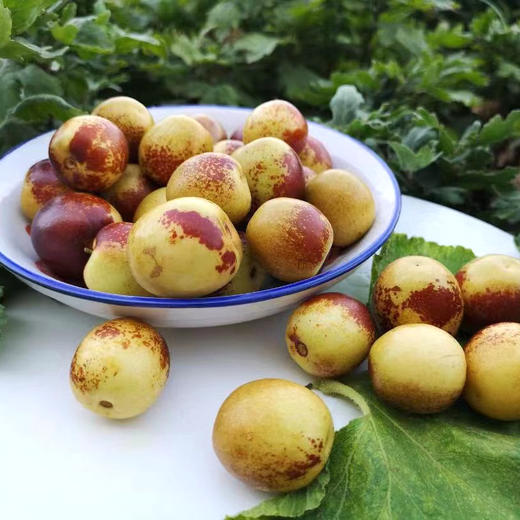 陕西大荔冬枣 大果3斤装 脆甜鲜枣 普箱装 商品图5