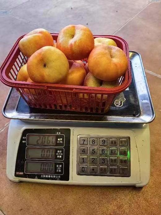 采摘园黄油蟠桃4斤 商品图2