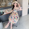 女童夏装连衣裙2023新款薄款洋气女孩夏季碎花裙子童装儿童公主裙 商品缩略图3