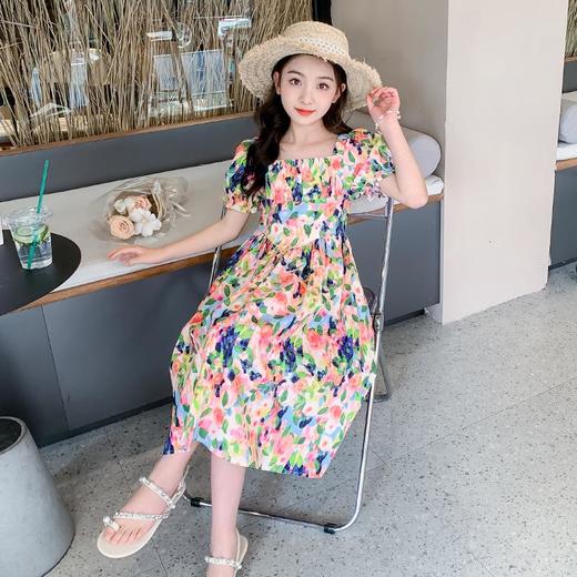 女童夏装连衣裙2023新款薄款洋气女孩夏季碎花裙子童装儿童公主裙 商品图3