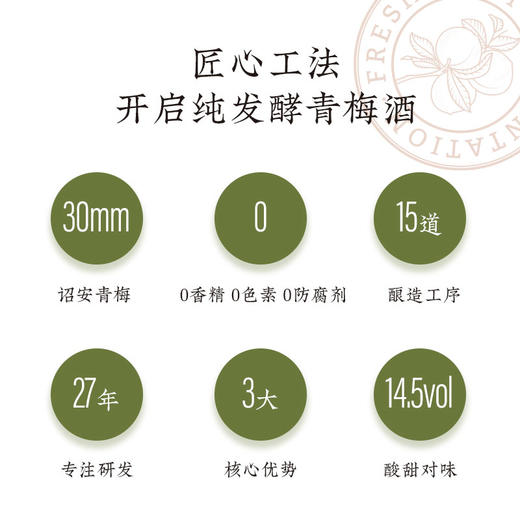 直播【高端品鉴】紫梅山纯发酵青梅酒- 干型 375ml/500ml 14.5~15.5° 商品图3