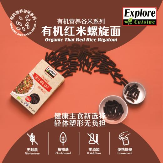 【植味探索】红米、红扁豆通心粉 商品图1
