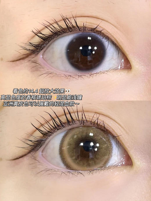 年抛 香草雪松棕 AgensColor / 大直径14.5 着色14.4  / (同品牌多副更划算 选款色板在详情页) 棕色浅瞳 商品图2