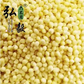 【弘毅六不用生态农场】 六不用大黄米 糜子 东北特产