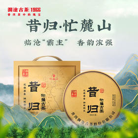 澜沧古茶2023年昔归忙麓山普洱茶生茶云南茶叶七子饼茶生普古树
