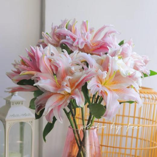 【富安娜重瓣百合】8-10朵/份  买2份减10元 商品图0