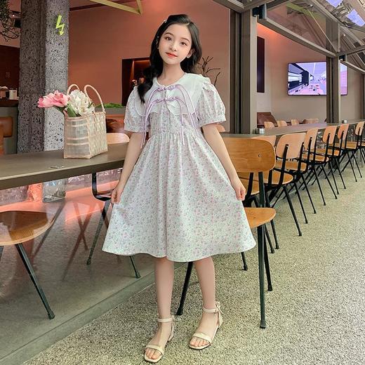 女童雪纺连衣裙夏季2022新款童装洋气薄款女孩公主裙儿童夏装裙子 商品图2
