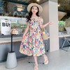 女童夏装连衣裙2023新款薄款洋气女孩夏季碎花裙子童装儿童公主裙 商品缩略图1