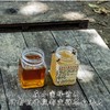 【自营】2023纯正野生山枣花蜂蜜 益心血 养容颜 商品缩略图1