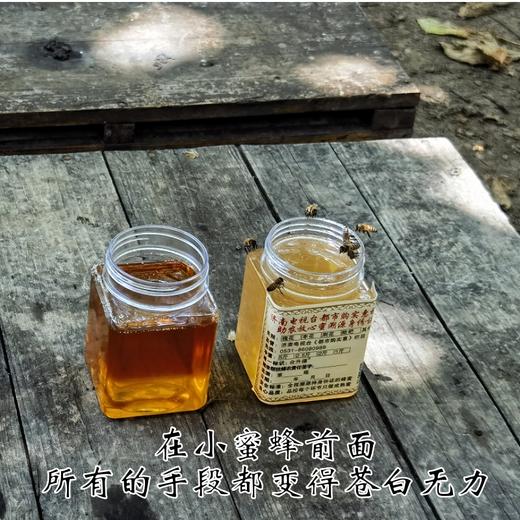 【自营】2023纯正野生山枣花蜂蜜 益心血 养容颜 商品图1