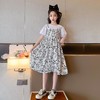 女童夏装碎花连衣裙2023新款儿童夏季公主裙女大童夏款童装裙子潮 商品缩略图1