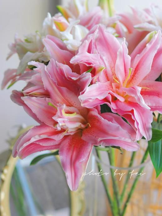 【富安娜重瓣百合】8-10朵/份  买2份减10元 商品图4