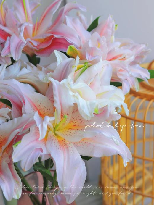 【富安娜重瓣百合】8-10朵/份  买2份减10元 商品图3