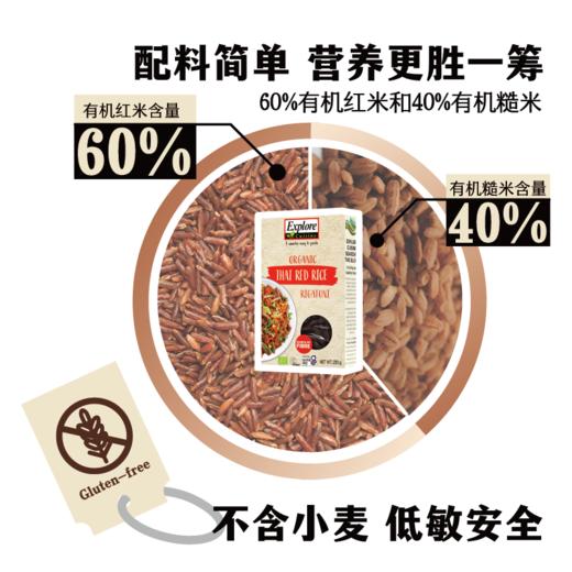 【植味探索】红米、红扁豆通心粉 商品图2