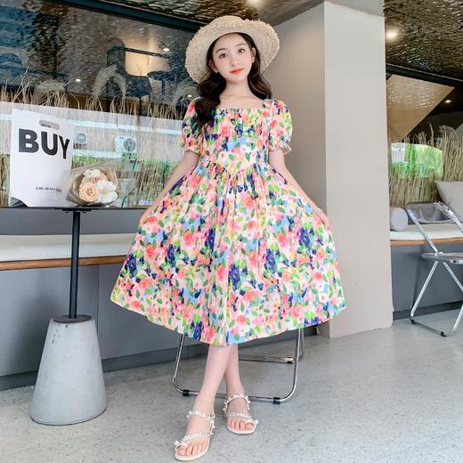 女童夏装连衣裙2023新款薄款洋气女孩夏季碎花裙子童装儿童公主裙 商品图0