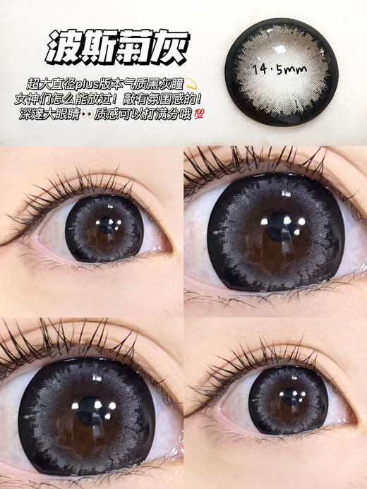 年抛 波斯菊灰 AgensColor / 大直径14.5 着色14.4  / (同品牌多副更划算 选款色板在详情页) 灰色美瞳 商品图0
