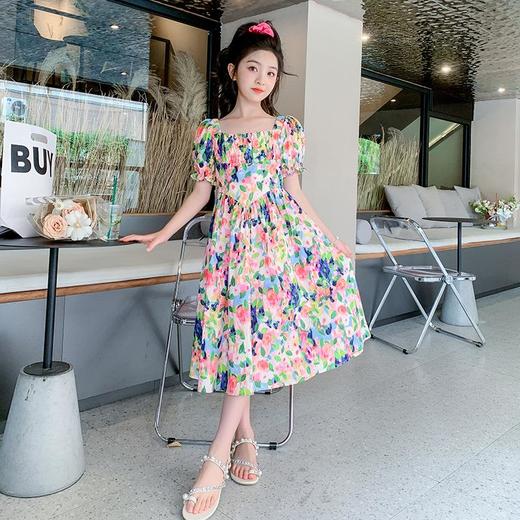 女童夏装连衣裙2023新款薄款洋气女孩夏季碎花裙子童装儿童公主裙 商品图2