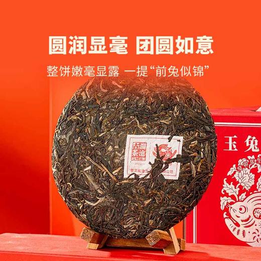 澜沧古茶2023年玉兔呈祥生茶大饼普洱茶生肖饼云南茶叶送礼 商品图2