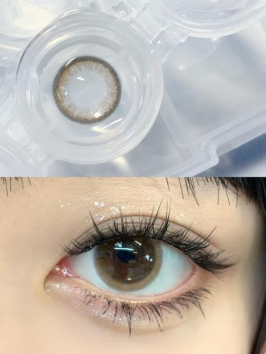 DARRENS 甜茶 日抛 商品图5