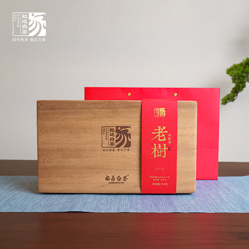 家天下丨 2023年  老树白牡丹 60g*5包