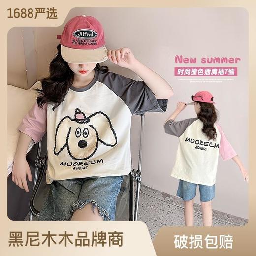 女童短袖T恤夏装2023新款童装网红女大童上衣洋气儿童纯棉体恤薄 商品图0