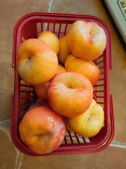 采摘园黄油蟠桃4斤 商品图0