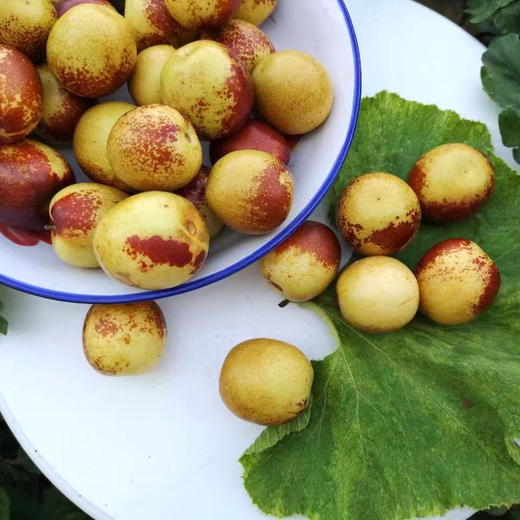 陕西大荔冬枣 大果3斤装 脆甜鲜枣 普箱装 商品图4