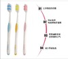 青蛙牙刷柔丝超细软毛不伤护龈深层舒适清洁高性价比1支 商品缩略图2