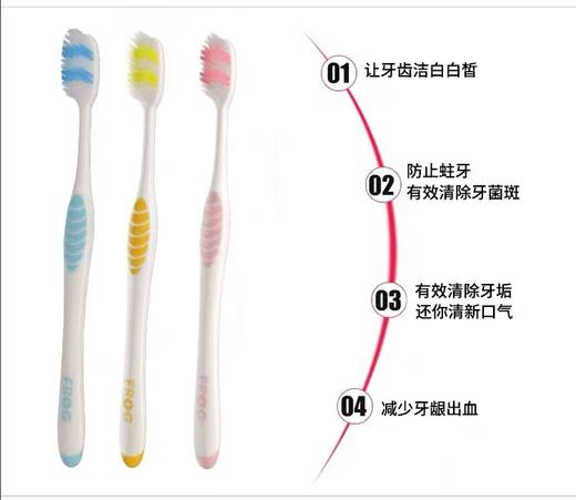 青蛙牙刷柔丝超细软毛不伤护龈深层舒适清洁高性价比1支 商品图2