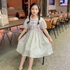 女童雪纺连衣裙夏季2022新款童装洋气薄款女孩公主裙儿童夏装裙子 商品缩略图0