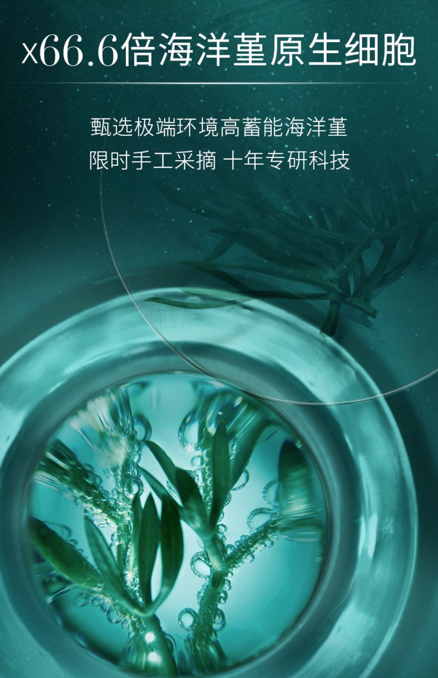 O1CN01uVkDQU2JKd4AZYbfk_!!2374579403.jpg (1500Ã�2322)