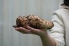 醉肥美季|应季菌王大松茸新鲜上市！稻城4000+米高原野生！神级珍馐肥嫩香滑超好吃！ 商品缩略图0