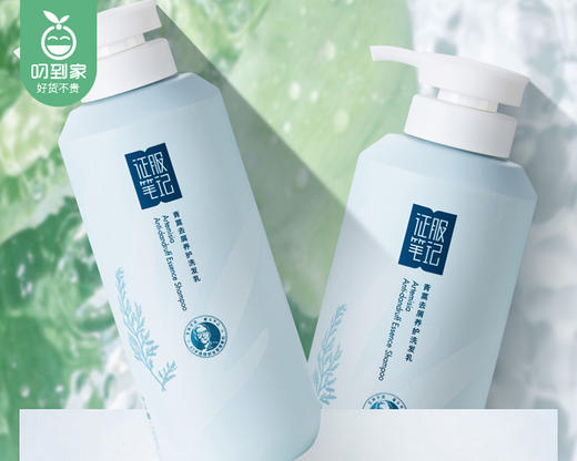 征服笔记青蒿去屑养护洗发乳/1瓶（500ml） 商品图3