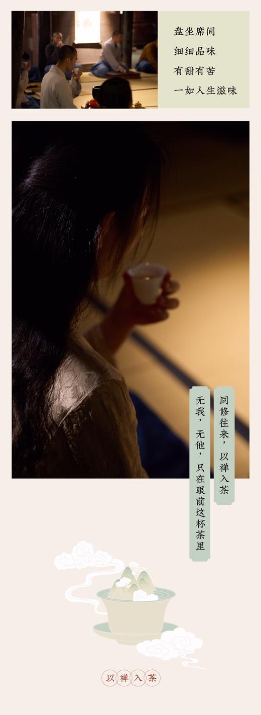 【东方艺术疗愈系列1】峨眉山自然疗愈静修 ｜报国寺+金顶 商品图1