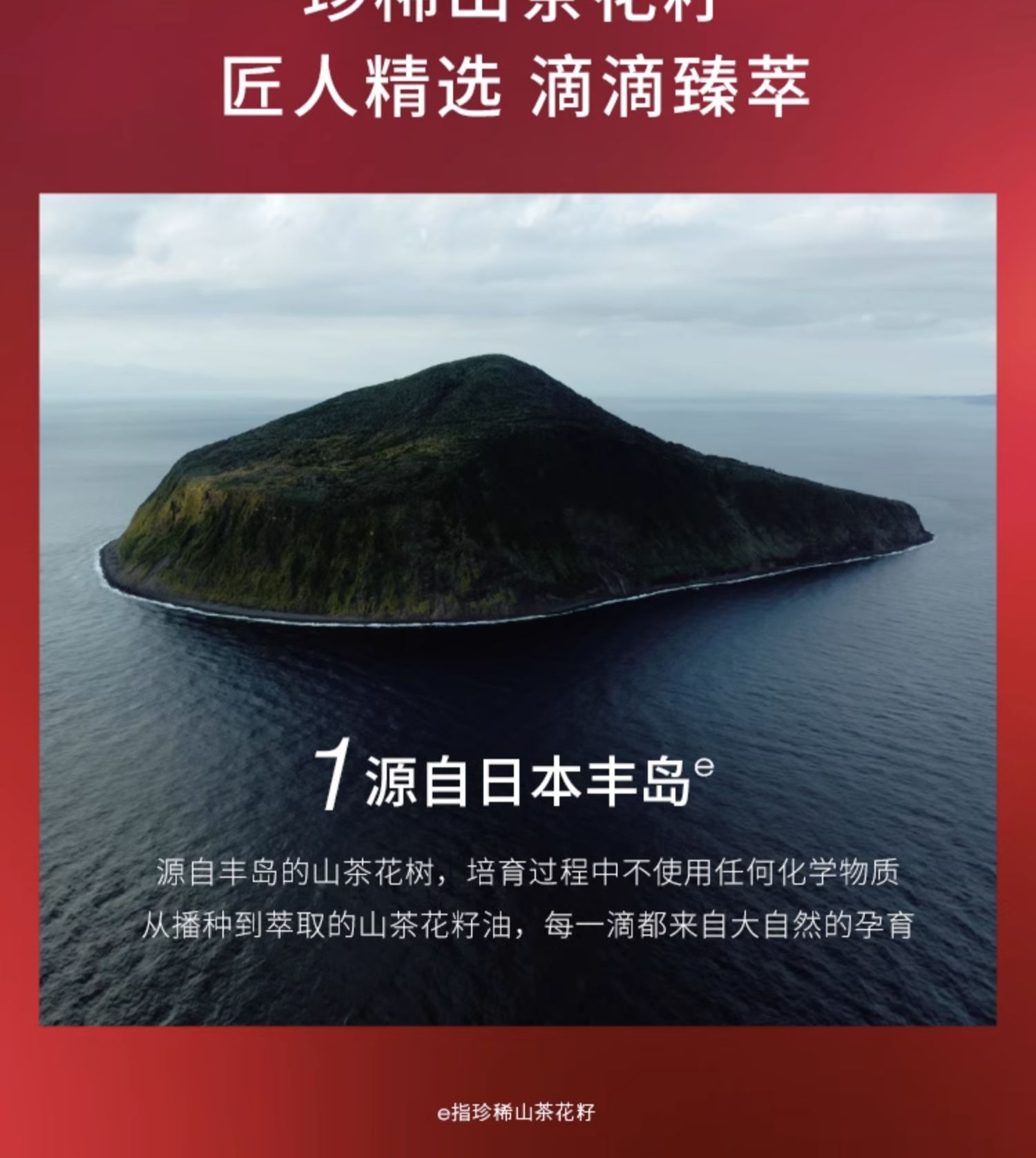 O1CN01IHC2oS1Tzyo6hQ7Uo_!!2820842454.jpg (1500Ã�1677)