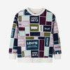 LEVIS 秋 大童小童 儿童童装卫衣 LVN-FW-J733 商品缩略图4
