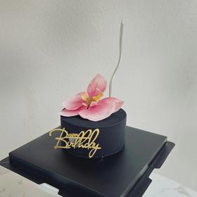 黑骑士.蝴蝶兰（提早5小时下单）