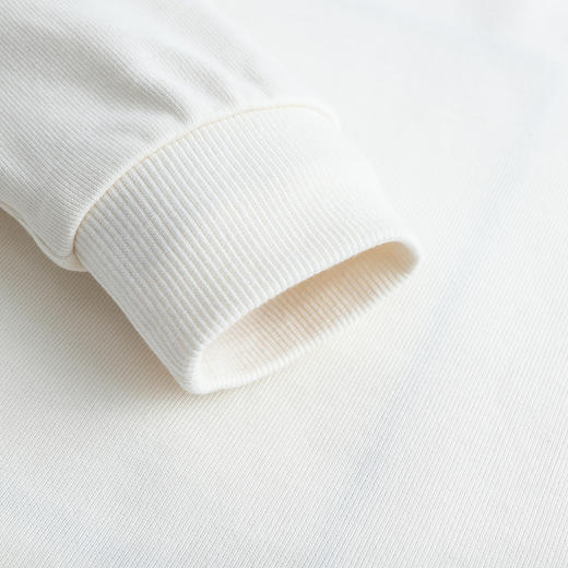 LEVIS 秋 大童小童 儿童童装卫衣 LVN-FW-J732 商品图5