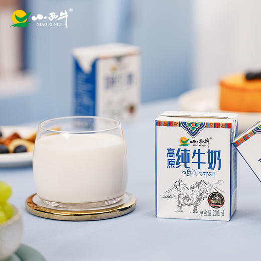 【光明&小西牛】青海纯牛奶青藏高原全脂纯牛奶整箱儿童学生早餐奶200ml*20盒 商品图5