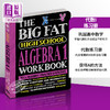 【中商原版】学霸笔记 获得A的方法练习册 代数I 高中篇 The Big Fat High School Algebra 1 Workbook 英文原版 高中数学 商品缩略图0